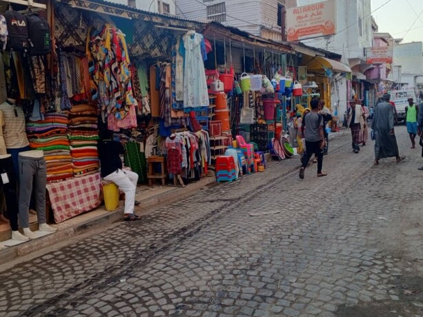 deux-maisons-a-vendre-a-souk-daksileh-avec-titre-foncier-big-2