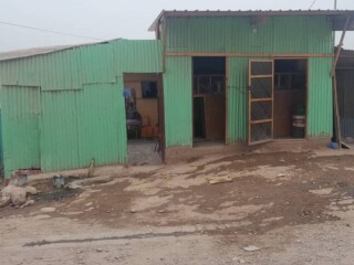 maison-3-chambres-avec-boutique-cuisine-et-toilette-a-balbala-cheikh-moussa