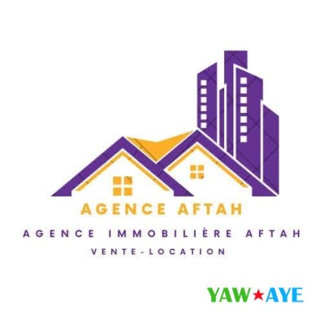 terrains-a-vendre-a-barwaqo-2-investissez-a-cite-nassib-gabode-big-1