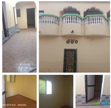 superbe-maison-f5-moderne-avec-terrasse-a-hayabley-votre-oasis-urbaine-big-0