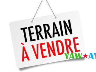 terrains-a-vendre-a-barwaqo-2-gabode-5-opportunite-immanente-sur-yawaaye