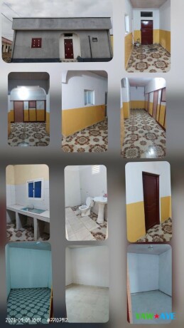 maison-f4-neuve-a-louer-a-dogley-eau-et-electricite-inclus-big-1