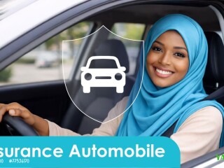 assurance-auto-fiable-et-ethique-protegez-votre-avenir-avec-d-insurance