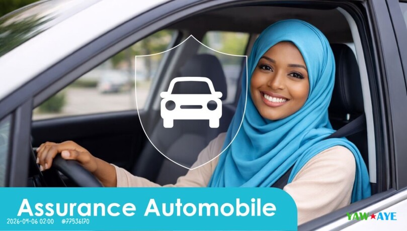 assurance-auto-fiable-et-ethique-protegez-votre-avenir-avec-d-insurance-big-1