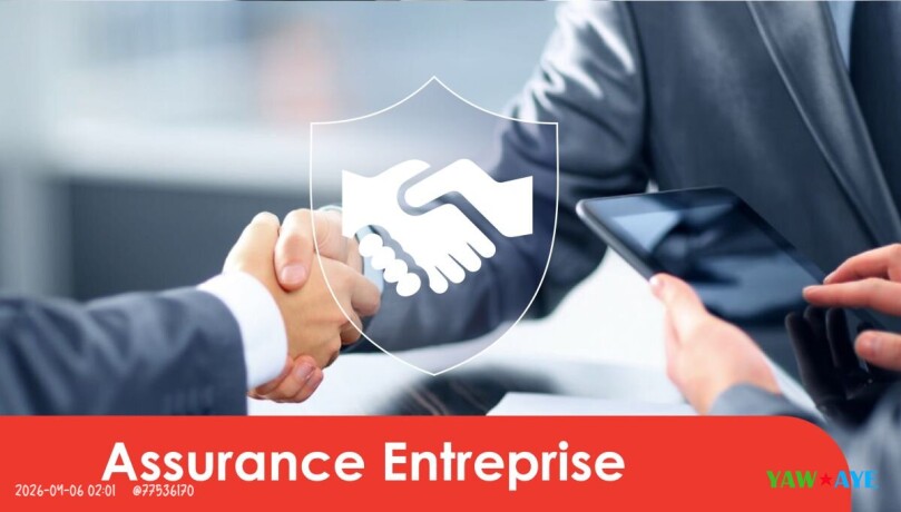 protegez-votre-entreprise-avec-lassurance-multirisques-professionnelle-d-insurance-sur-yawaaye-big-1