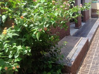 stylish-f1-f2-furnished-studios-in-gabode-cite-cooperant-your-perfect-stay-awaits