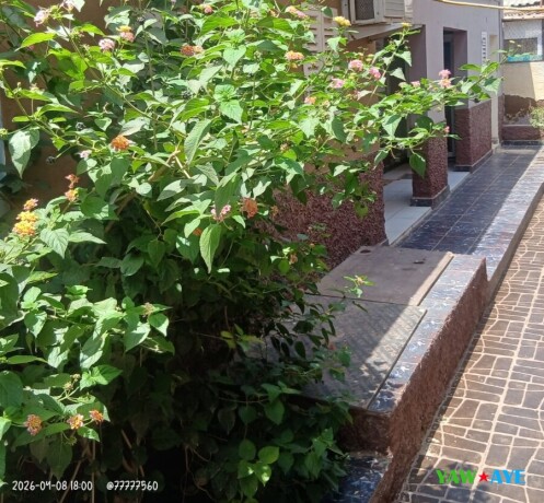 stylish-f1-f2-furnished-studios-in-gabode-cite-cooperant-your-perfect-stay-awaits-big-1