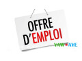 exciting-job-opportunity-automotive-sales-agent-at-djibsou-sarl-join-us-now-small-0