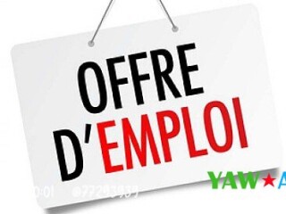 exciting-job-opportunity-automotive-sales-agent-at-djibsou-sarl-join-us-now