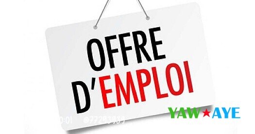 exciting-job-opportunity-automotive-sales-agent-at-djibsou-sarl-join-us-now-big-0