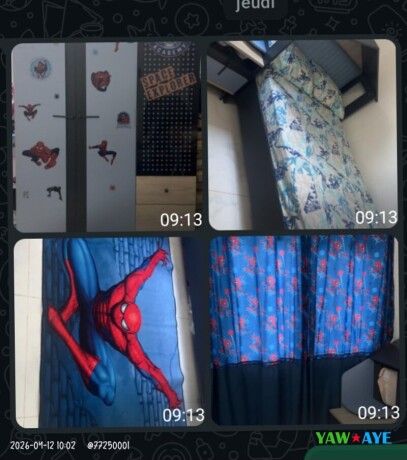 charming-childrens-room-set-lit-armoire-2-curtains-carpet-in-great-condition-big-0