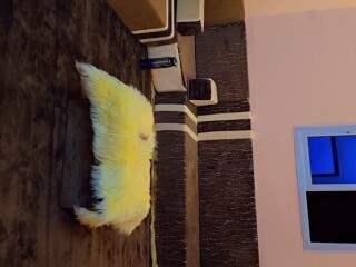 superbe-salon-marronbeige-en-excellent-etat-a-saisir-utilise-seulement-6-mois