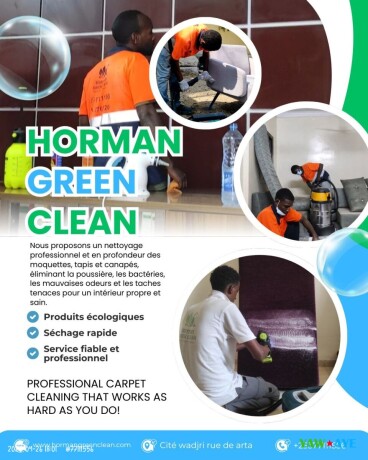 eco-nettoyage-canapes-tapis-moquettes-a-domicile-pour-un-interieur-eclatant-big-0