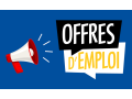 recrutement-chauffeur-agent-securite-et-commerciaux-small-0