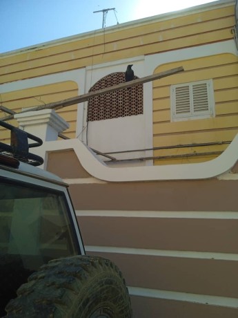 appartement-f4-avec-grande-terrasse-route-de-saline-ouest-big-0