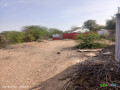 terrain-de-200-m2-a-petit-douda-emplacement-ideal-et-calme-pour-votre-projet-small-0