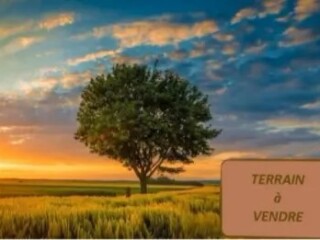 a-la-recherche-dun-terrain-a-vendre-a-haramous