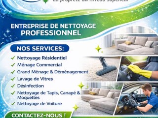 service-de-nettoyage-ecologique-pour-voitures-climatiseurs-textiles-bureaux-et-plus
