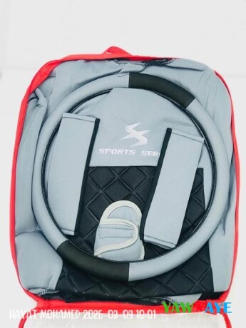 je-vends-des-housses-de-big-0