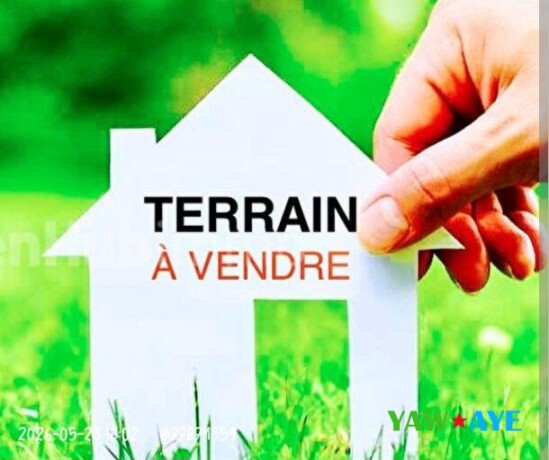terrain-120m2-plat-avec-titre-foncier-a-barwaqo-2-phase-2-big-1