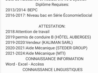 chauffeur-polyvalent-avec-8-ans-dexperience