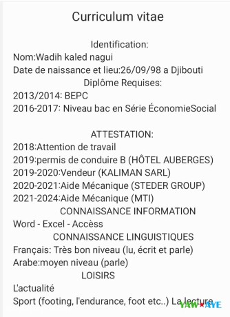 chauffeur-polyvalent-avec-8-ans-dexperience-big-0