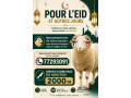 service-dabattage-de-mouton-a-domicile-fiable-et-economique-small-0