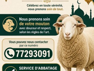 service-dabattage-de-mouton-a-domicile-fiable-et-economique