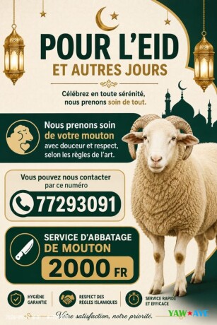 service-dabattage-de-mouton-a-domicile-fiable-et-economique-big-0