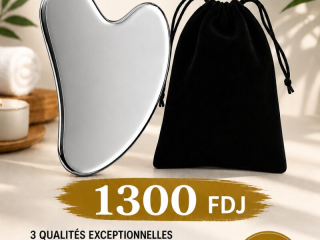 gua-sha-en-acier-inoxydable-qualite-premium-avec-sacoche-noire