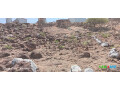 terrain-200m2-avec-titre-provisoire-a-arta-secteur-haji-dereh-small-0