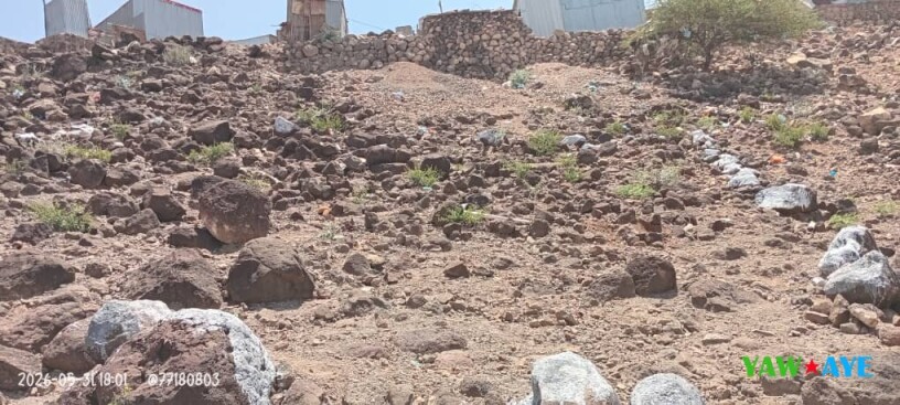 terrain-200m2-avec-titre-provisoire-a-arta-secteur-haji-dereh-big-1