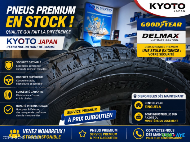 pneus-delmax-et-goodyear-qualite-premium-disponibles-a-djibouti-big-0