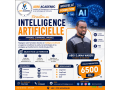 formation-en-intelligence-artificielle-pratique-1-mois-small-1