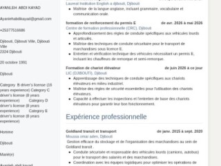 chauffeur-routier-polyvalent-cariste-confirme-plus-de-10-ans-dexperience-en-conduite-et-logistique