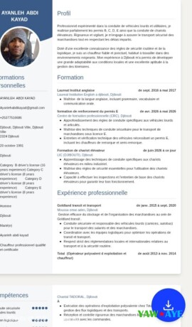 chauffeur-routier-polyvalent-cariste-confirme-plus-de-10-ans-dexperience-en-conduite-et-logistique-big-0