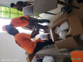 demenagement-rapide-par-gur-gur-express-services-small-1