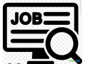 candidat-motive-en-langues-et-commerce-international-disponible-immediatement-small-0