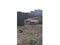 terrain-ideal-a-alrahma-200-m2-proche-route-titre-foncier-disponible-small-0