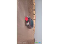 suzuki-desire-2025-neuve-disponible-en-location-courte-duree-small-0