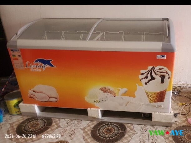 congelateur-limag-quebec-pour-glace-et-poulet-en-magasin-big-1