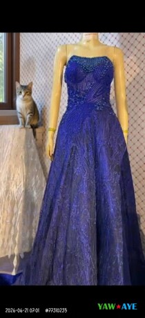 robe-de-ceremonie-pour-mariee-ou-soeur-du-marie-big-0