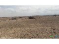 terrain-a-mouloud-avec-prix-negociable-small-0