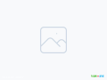 assurance-personnel-ou-groupe-tamini-insurance-small-0