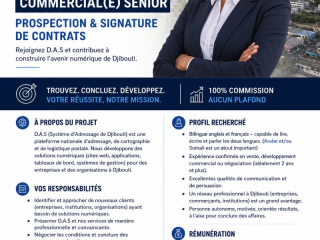 commercial-senior-bilingue-pour-prospection-et-contrats