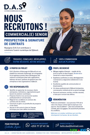 commercial-senior-bilingue-pour-prospection-et-contrats-big-1