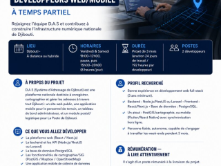 developpeurs-webmobile-temps-partiel-pour-projet-national-djibouti