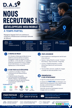 developpeurs-webmobile-temps-partiel-pour-projet-national-djibouti-big-0