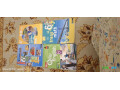 manuels-scolaires-kessel-6eme-et-1ere-lycee-en-bon-etat-small-0