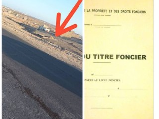 terrain-160-m2-bordure-route-proche-futur-marche-a-barwaqo-2